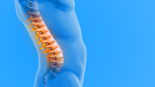 突出一个脊椎疼痛的医学人物图片下载