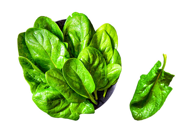 白底分离黄瓜荞麦粥。图片下载