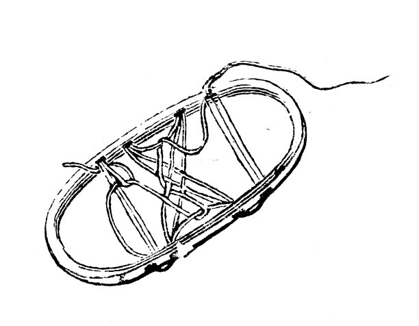 古董插图，民族志和土著文化:中亚和东欧，雪鞋图片下载