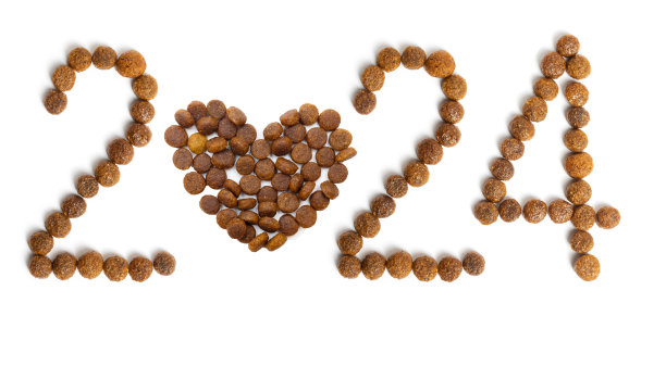 2024年日历由干宠物食品和心形由脆颗粒在白色背景。图片下载