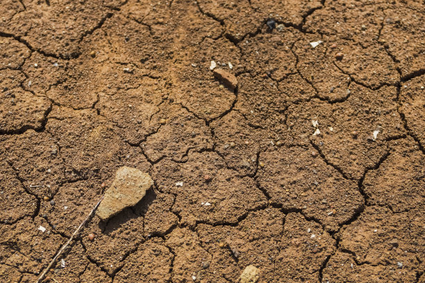干裂土壤的俯视图。干旱，作物歉收，全球变暖，气候变化的概念图片下载