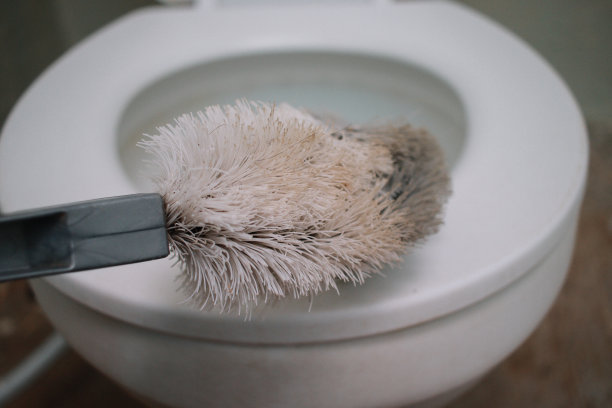 马桶刷清洁剂图片下载