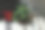 原产于南半球的似松的针叶树。猴子拼图树是这些物种中最顽强的。金字塔状的，稀疏的，对称的，绳状的树枝形成一个开放的生长习惯。图片下载