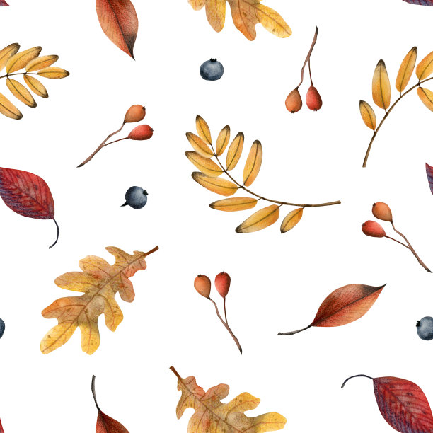 黄色和红色的落叶和浆果在白色上无缝图案。秋季植物水彩背景插图手绘植物织物和纺织品图片下载