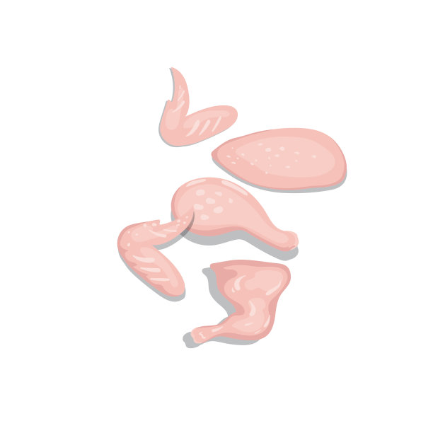 简单的肉类插图上的白色背景图片下载