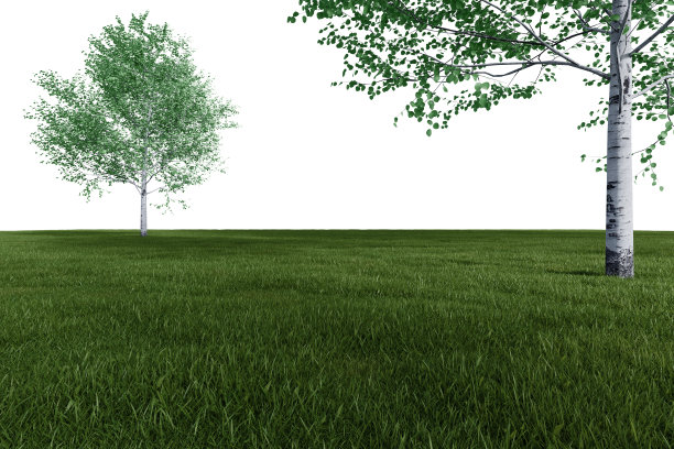 现实的草地与树木。图片下载