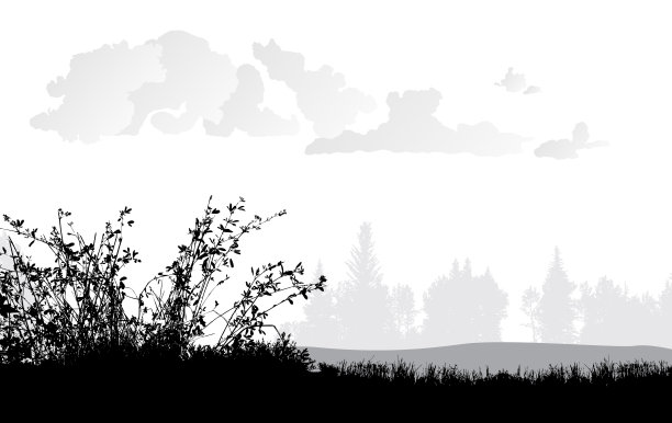 未驯服的田间杂草图片下载