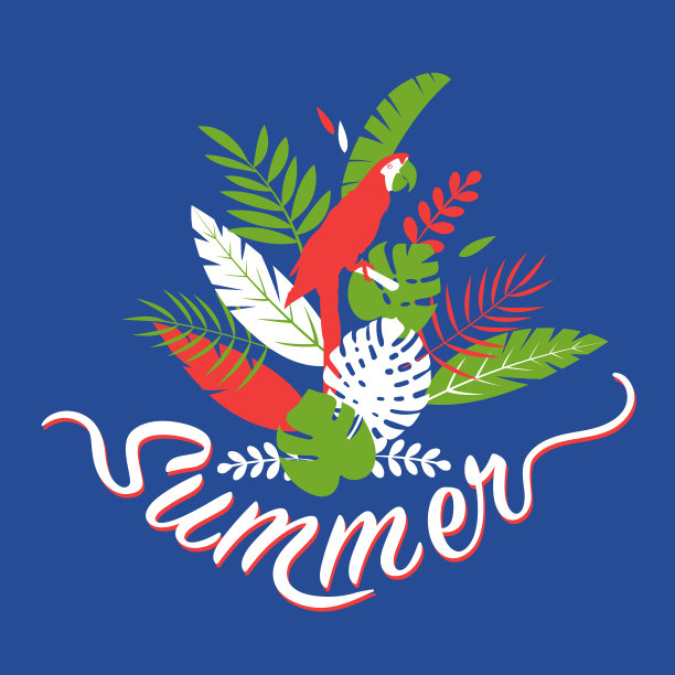 鹦鹉热带植物夏季图片下载