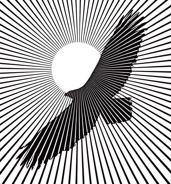 白头鹰飞向夕阳图片下载