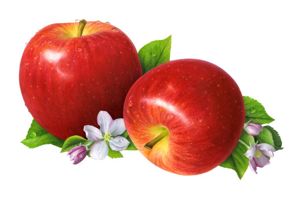 苹果和花图片下载