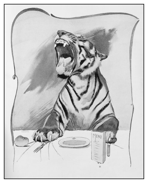 古董插图:饥饿的老虎在餐厅图片下载
