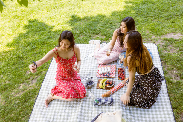 中央公园的快乐时光：亚洲女士野餐和自拍留念图片下载