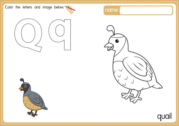 矢量插图的孩子字母表着色书页与轮廓剪贴画的颜色。字母Q代表鹌鹑。图片下载