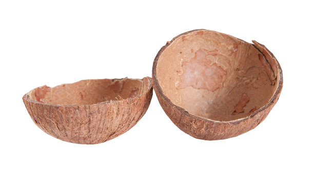 椰子空壳顶视图孤立上白色图片下载