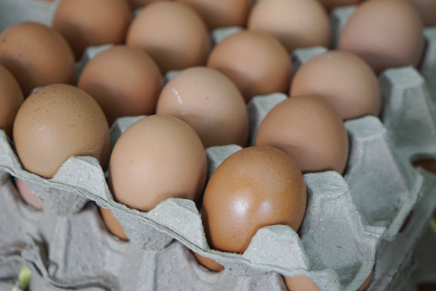 一盘鸡蛋图片下载