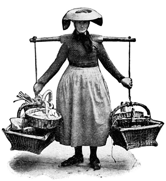 穿着传统服装的女人，荷兰，正面视图- 19世纪图片下载