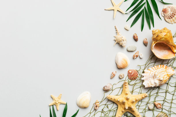 在彩色的桌子上平铺着美丽的海星和海贝壳的构图，顶部有文字的复制空间图片下载