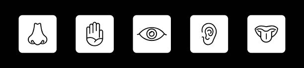 人类感官图标图片下载