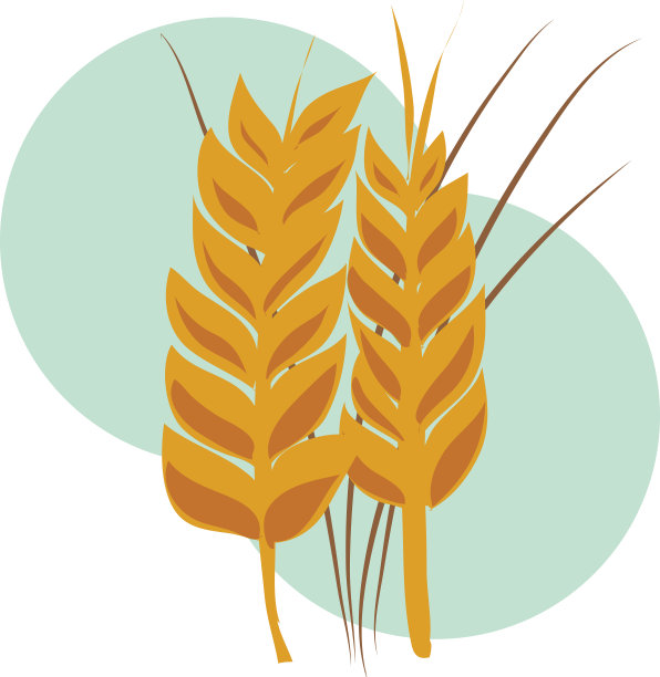 大麦，农业综合企业的产业概念，说明在平面风格使用矢量。图片下载