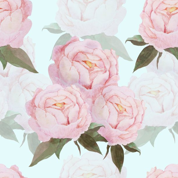 蓝色背景上的牡丹图片下载