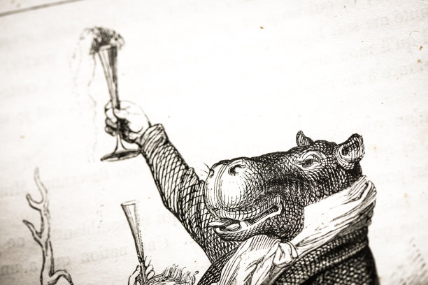 人性化的动物插图:河马敬酒图片下载