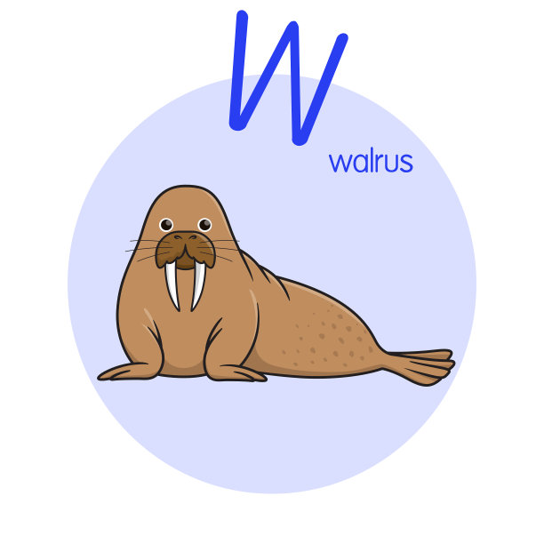 向量插图海象与字母W大写或大写字母为儿童学习实践ABC图片下载