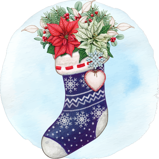 一品红水彩手绘长袜图片下载