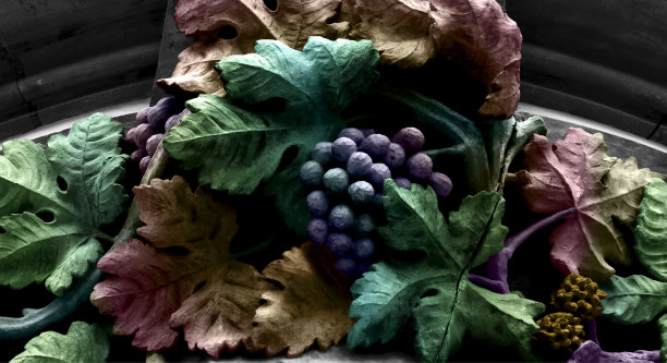 秋叶间葡萄藤上的葡萄图片下载