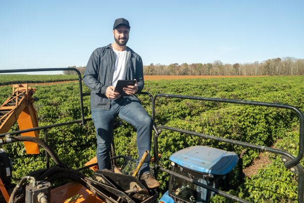 一个人在咖啡种植园里图片下载