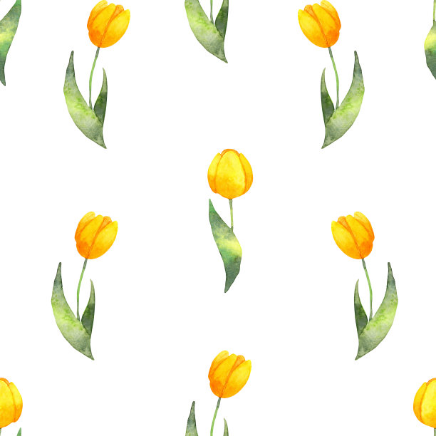黄色郁金香无缝图案。水彩植物插图。用于包装、织物、纸张上的纹理印刷。图片下载