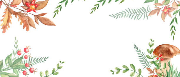 牛肝菌，绿枝，红莓，橡树叶，野花。水彩横条幅、框架。植物插图。完美的网页横幅，卡片和邀请模板。图片下载
