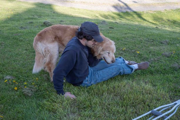 年轻人和他的狗坐在草地上，前景中有一根拐杖图片下载