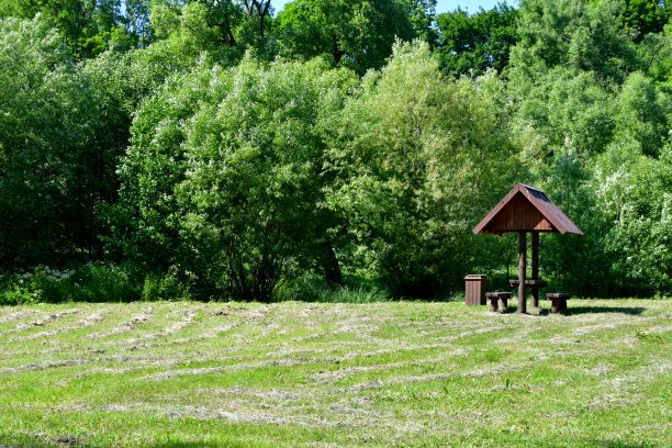 小木屋:在波兰夏季看到的由圆木、木板和木板组成的小棚屋、茅屋或庇护所，四周环绕着茂密的森林、荒野、田野、草地和牧场图片下载