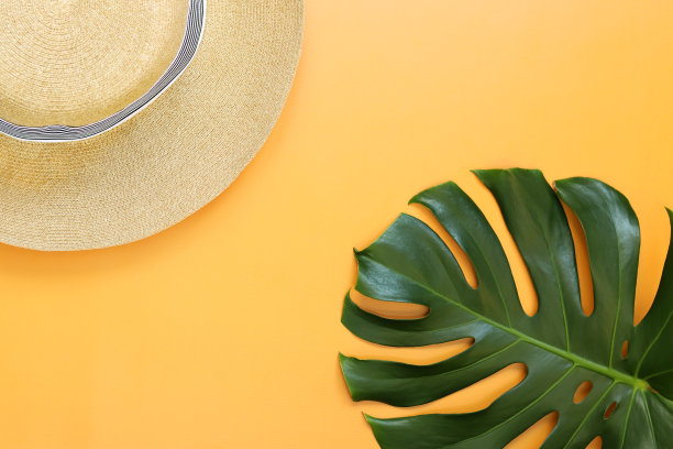 夏季妇女的帽子和怪物叶图片下载