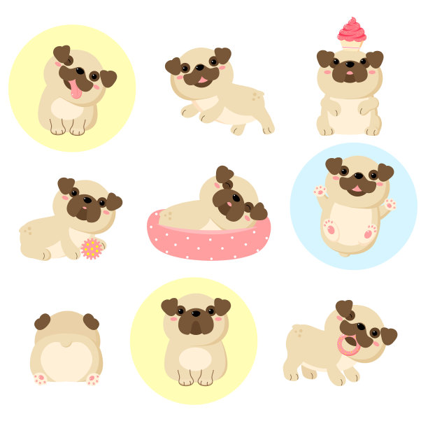 一套可爱的哈巴狗图片下载