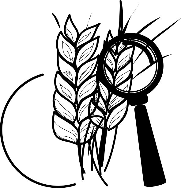 用于产品检查的放大镜，农业企业的工业概念与平面，线条艺术图标。图片下载