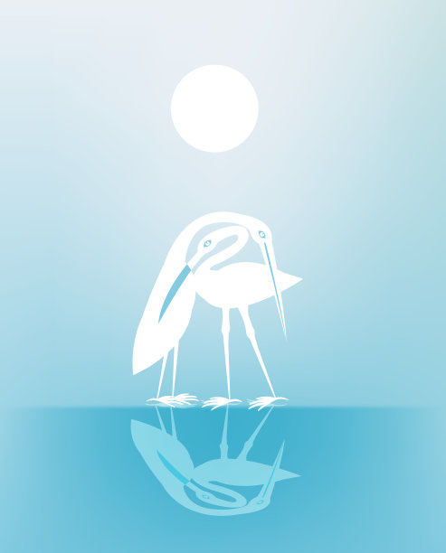 一些鸟,图片下载