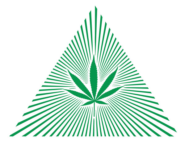 麻叶与阳光图片下载