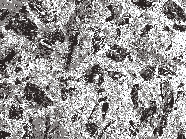 石材混凝土垃圾纹理。黑色灰尘Scratchy Pattern。抽象的背景。矢量设计作品。变形的效果。裂缝。图片下载