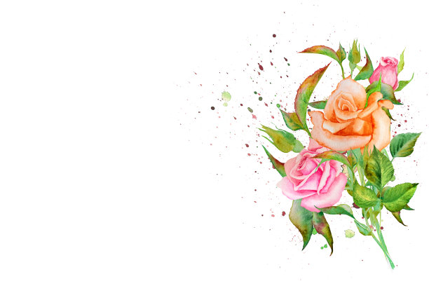 水彩插图组成的玫瑰和百合，手绘。用于明信片、邀请函、广告图片下载