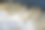 鱼往上游产卵。Vimba跳上了Venta河的瀑布。Kuldiga,拉脱维亚。图片下载