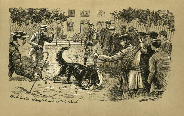 两只狗在街上打架，一群人看着，维多利亚人图片下载