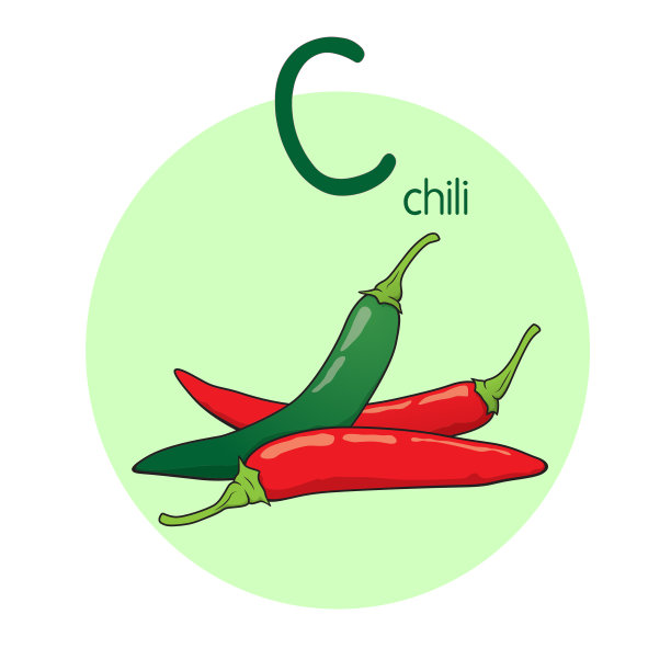 向量说明辣椒字母C大写字母或大写字母的儿童学习练习ABC图片下载