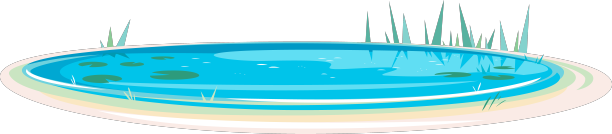 带芦苇的小池塘，风格简单图片下载