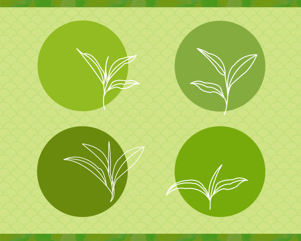 天然风格抹茶茶叶。手绘图案在日本风格的背景纹理图片下载