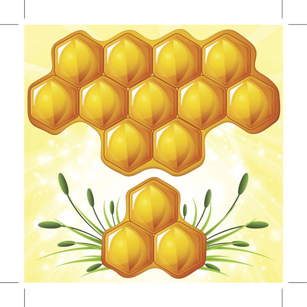 亮片背景上的蜂巢图片下载