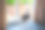 波士顿梗犬站在窗口向外看。窗户是一扇挂着窗帘的露台门。图片下载