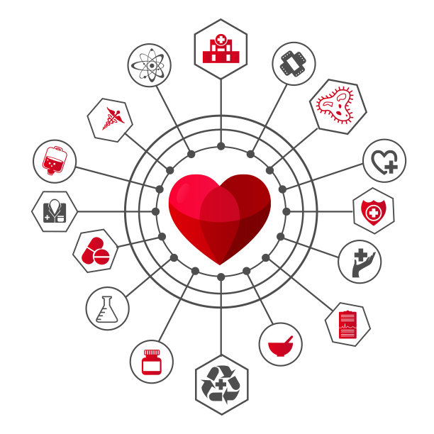 扁平风格的医学和保健概念。在孤立的白色背景上有心脏的医学心脏病学图标。图片下载