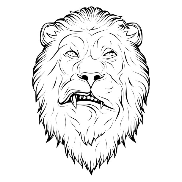 狮子。矢量插图的一个草图咆哮狮子的脸。非洲野生动物图片下载