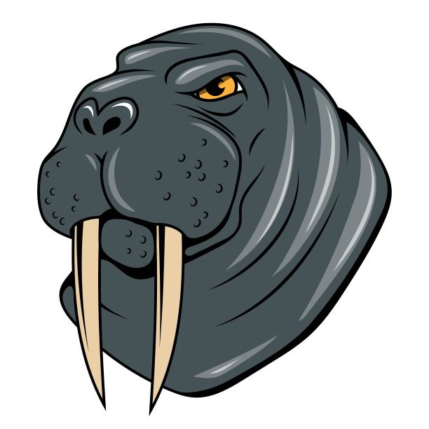 哈巴狗。一个极地动物卡通的矢量插图。愤怒的动物。Odobenus rosmarus图片下载